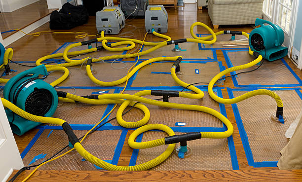 Professional Sewage Cleanup technician working in Ramah, CO